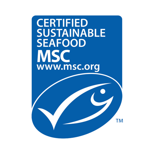 Msc Logo